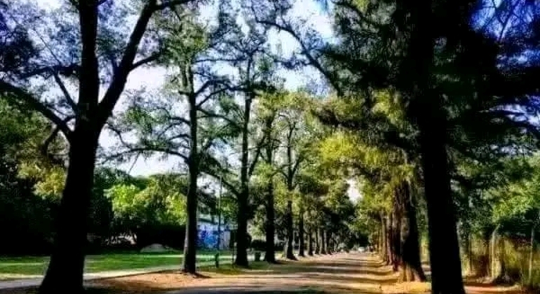 Tour Privado de História e Natureza em Buenos Aires Argentina &mdash; #14