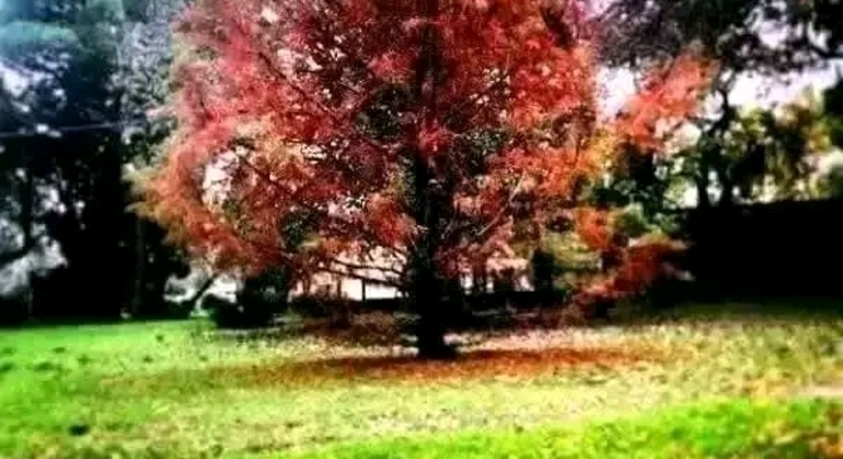 Tour Privado de História e Natureza em Buenos Aires Argentina &mdash; #16