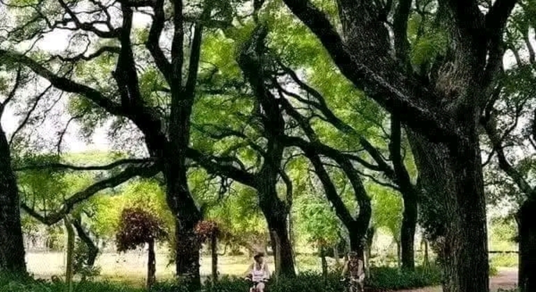 Tour Privado de História e Natureza em Buenos Aires Argentina &mdash; #19