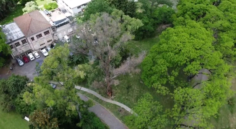 Tour Privado de História e Natureza em Buenos Aires Argentina &mdash; #20