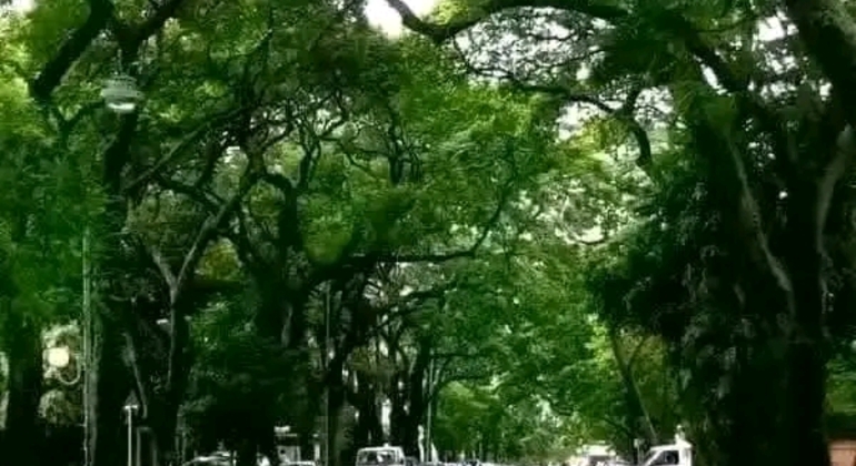 Tour Privado de História e Natureza em Buenos Aires Argentina &mdash; #23