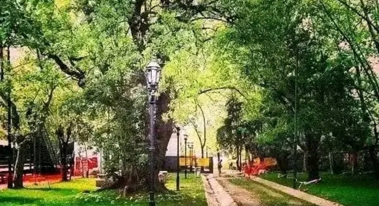 Tour Privado de História e Natureza em Buenos Aires Argentina &mdash; #24