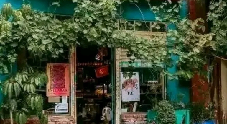 Tour Privado de História e Natureza em Buenos Aires Argentina &mdash; #29