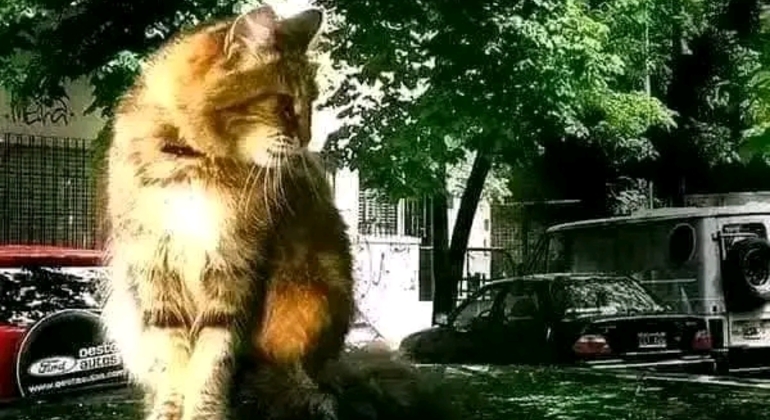 Tour Privado de História e Natureza em Buenos Aires Argentina &mdash; #36