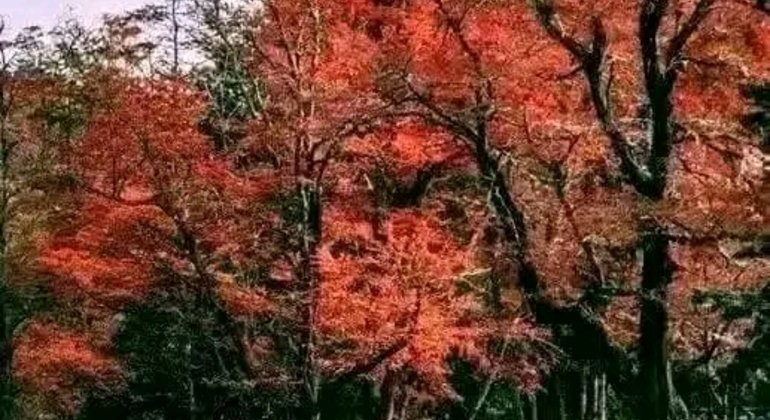 Tour Privado de História e Natureza em Buenos Aires Argentina &mdash; #44