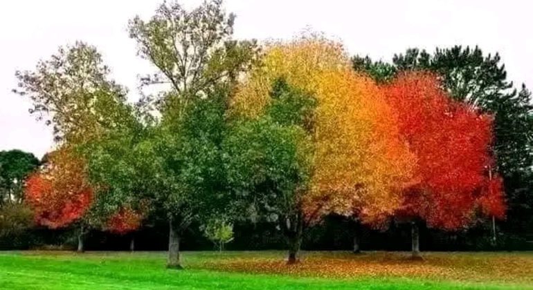 Tour Privado de História e Natureza em Buenos Aires Argentina &mdash; #45