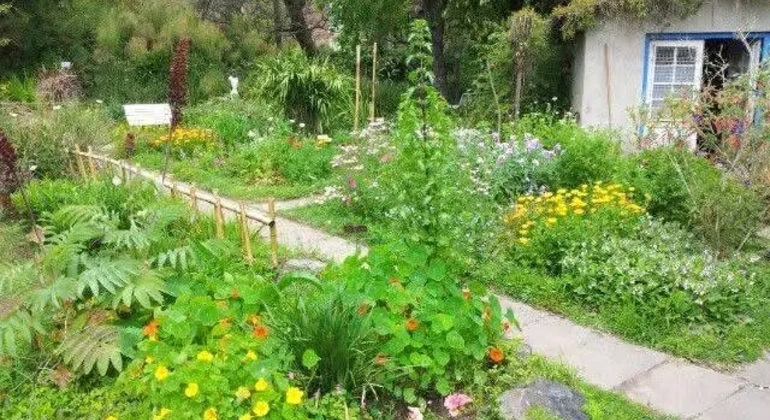 Tour História e Natureza em Buenos Aires Argentina &mdash; #4