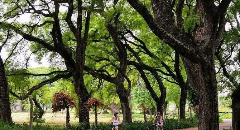 Tour História e Natureza em Buenos Aires Argentina &mdash; #6