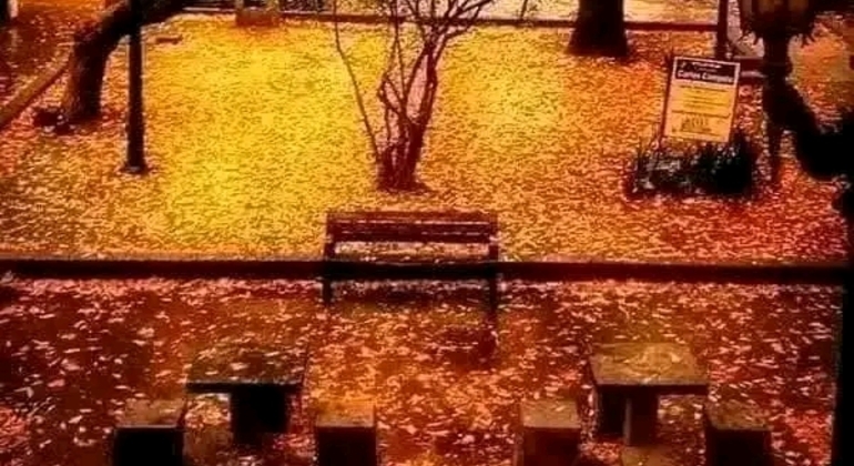 Tour História e Natureza em Buenos Aires Argentina &mdash; #21