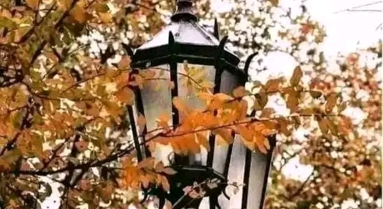 Tour História e Natureza em Buenos Aires Argentina &mdash; #28