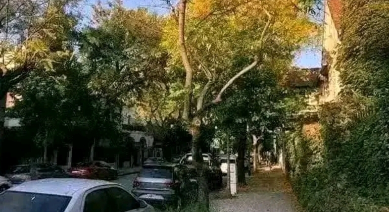 Tour História e Natureza em Buenos Aires Argentina &mdash; #29