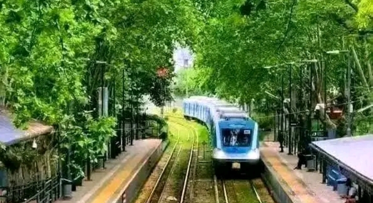 Tour História e Natureza em Buenos Aires Argentina &mdash; #31