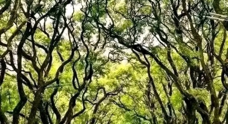 Tour História e Natureza em Buenos Aires Argentina &mdash; #32