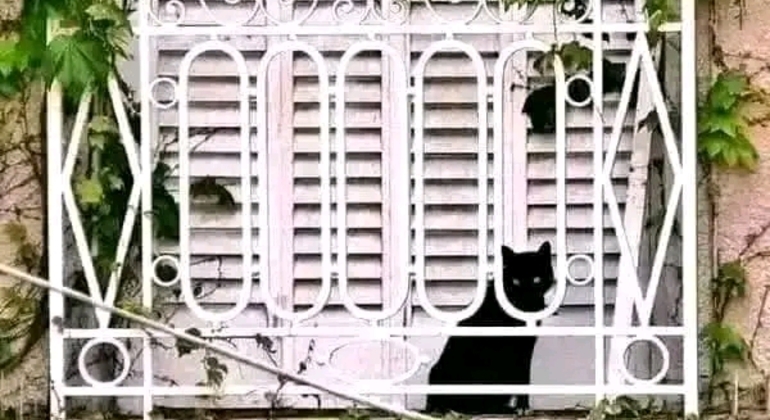 Tour História e Natureza em Buenos Aires Argentina &mdash; #34