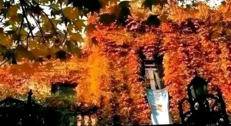 Tour História e Natureza em Buenos Aires Argentina &mdash; #37