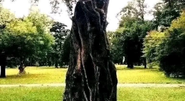 Tour História e Natureza em Buenos Aires Argentina &mdash; #39