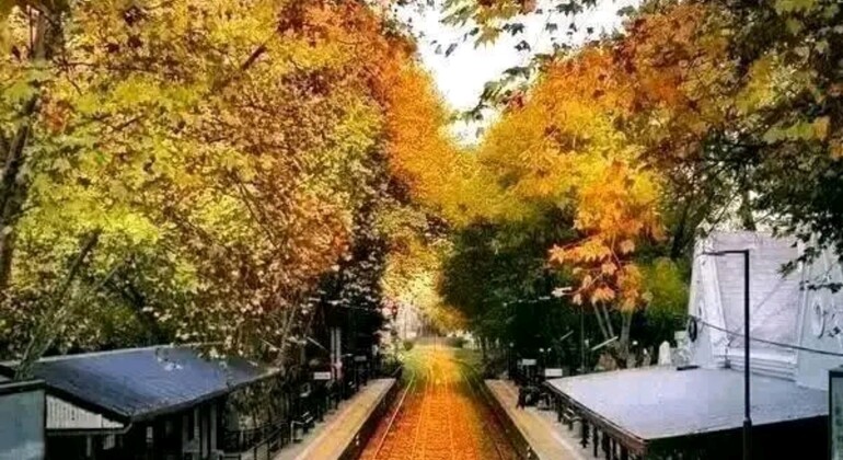 Tour Privado a Pie de Historia y Naturaleza por Buenos Aires