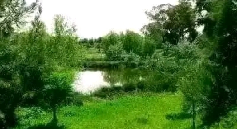 Tour História e Natureza em Buenos Aires Argentina &mdash; #40