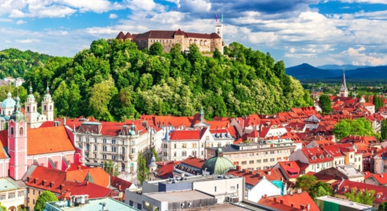From Dragons to Bridges: A Storybook City Tour Provided by Milan Grujicic