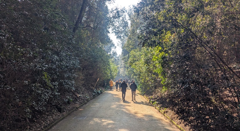 Escaliers de Naples - Urban Trekking Free Tour Italie &mdash; #7