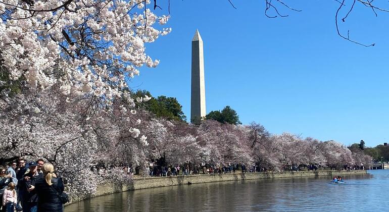 free-guided-tour-of-the-mall-en-3