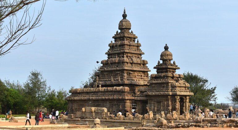 Mahabalipuram Heritage Walking Tour Provided by Dilip