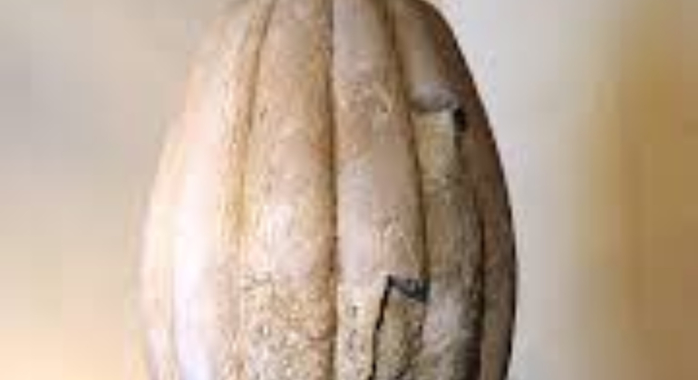 Trieste Children’s Tour with Penguin Marco Italy &mdash; #6