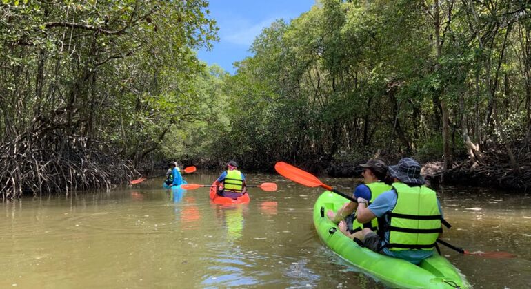 Koh Yao Yai: Mangrove Kayaking Tour, Thailand