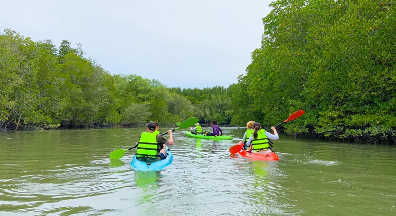 koh-yao-yai-mangrove-kayaking-tour-es-2