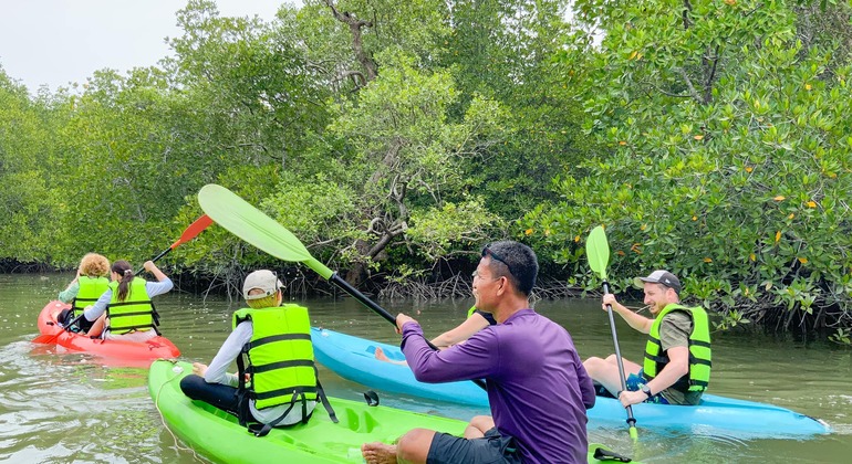 koh-yao-yai-mangrove-kayaking-tour-es-3