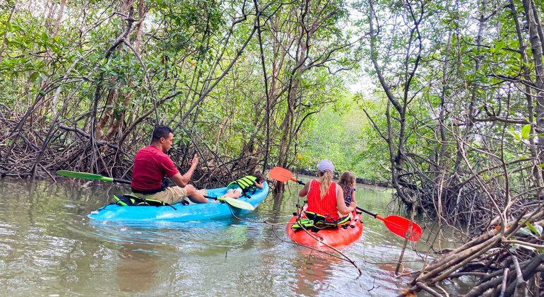 koh-yao-yai-mangrove-kayaking-tour-es-4