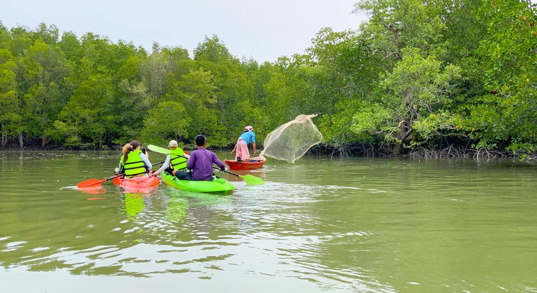 koh-yao-yai-mangrove-kayaking-tour-es-6