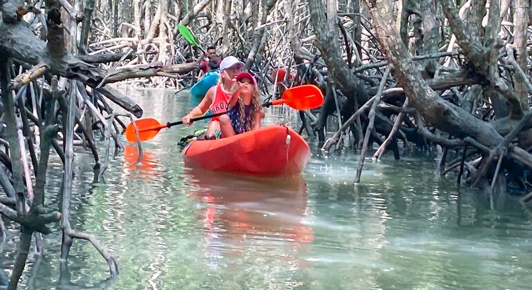 koh-yao-yai-mangrove-kayaking-tour-es-7