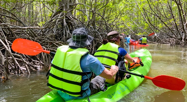 koh-yao-yai-mangrove-kayaking-tour-es-8