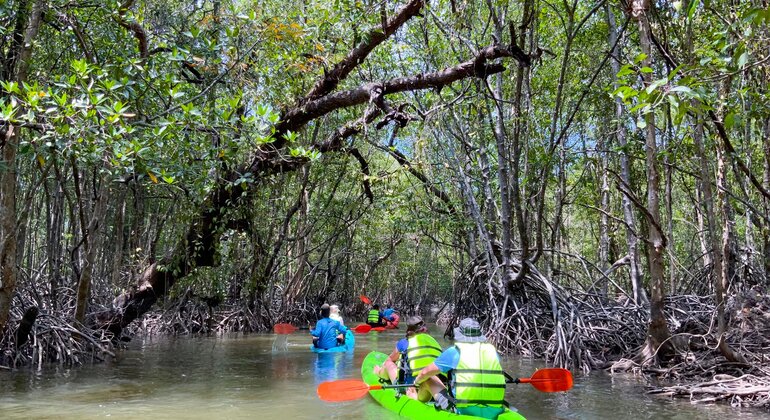 koh-yao-yai-mangrove-kayaking-tour-es-9