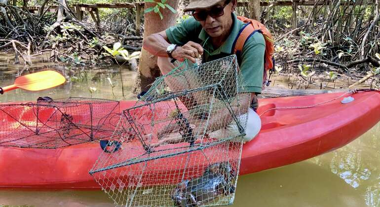 koh-yao-yai-mangrove-kayaking-tour-es-11