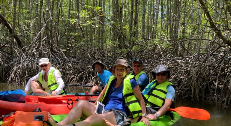 koh-yao-yai-mangrove-kayaking-tour-es-13