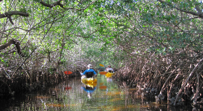 koh-yao-yai-mangrove-kayaking-tour-es-14