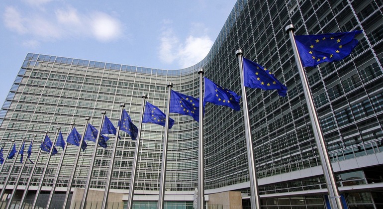 brussels-survival-story-free-tour-es-2