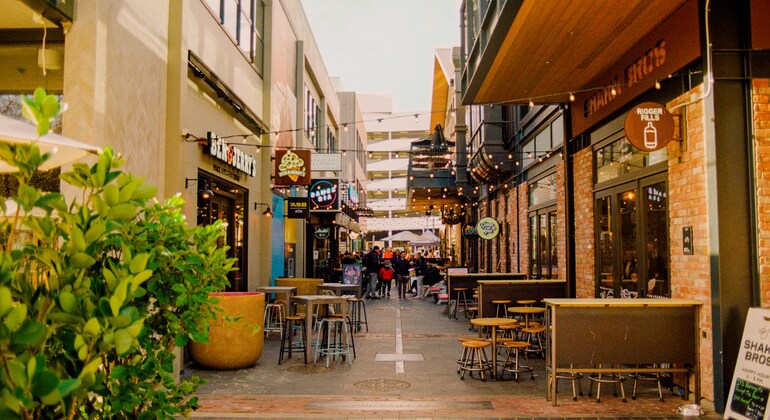 christchurchs-essentials-walking-tour-es-1