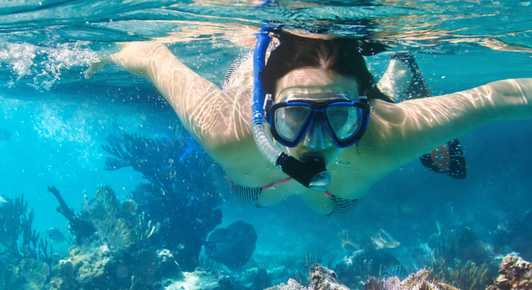 Free Tour Cabo de Palos: the Jewel of the Mediterranean Sea Spain &mdash; #5