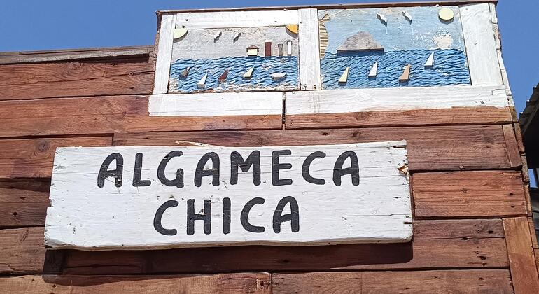 Visite gratuite de l'Algameca Chica Espagne &mdash; #2