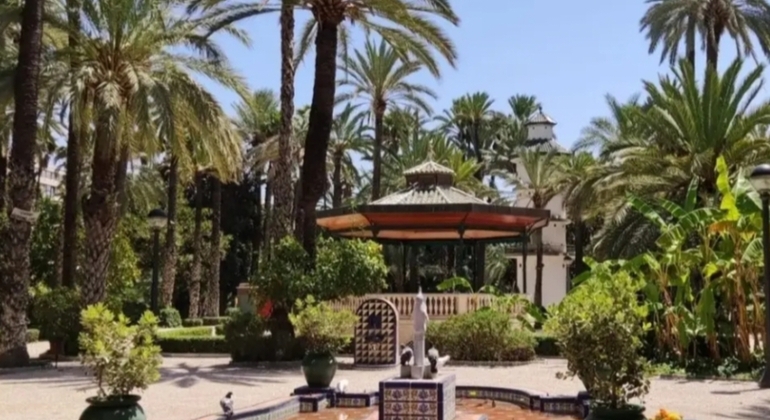 Free Tour Elche: History & Tradition with a Taste of Dates
