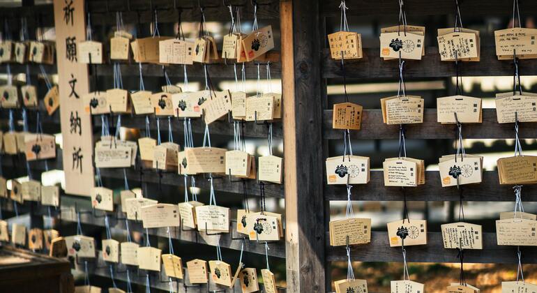 Free Tour Harajuku: Santuarios, Moda & Rincones Kawaii Japón &mdash; #2