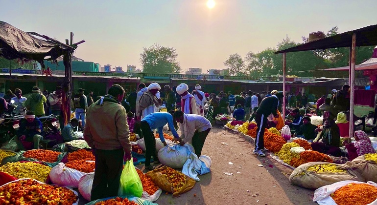 Jaipur Sonnenaufgang E-Cycle & Cycle Free Tour auf leeren Straßen  Indien &mdash; #5