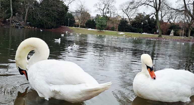 free-walking-tour-vienna-with-valeria-es-1