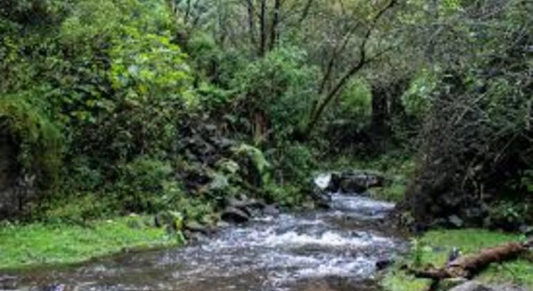 forest-trek-from-la-venta-to-a-forest-convent-es-1