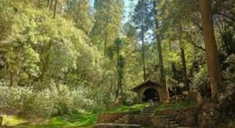forest-trek-from-la-venta-to-a-forest-convent-es-2