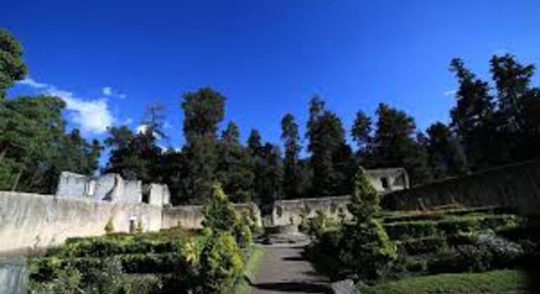 forest-trek-from-la-venta-to-a-forest-convent-es-3