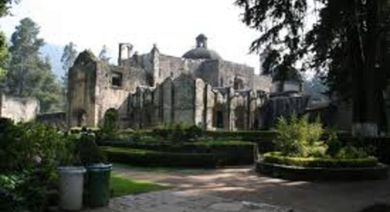 forest-trek-from-la-venta-to-a-forest-convent-es-5
